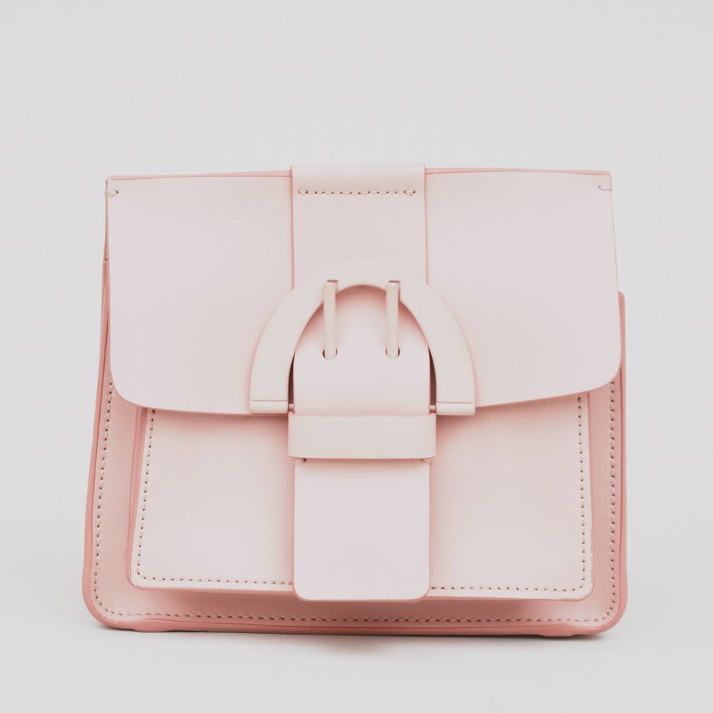 NWOT 😈 ZAC POSEN small leather Buckle bag